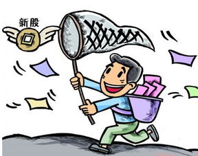 君禾股份(603617)中签号查询及进出口业务解析